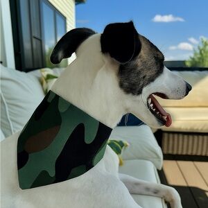 2/$15 Handmade Camouflage Dog Over the Collar Bandana
